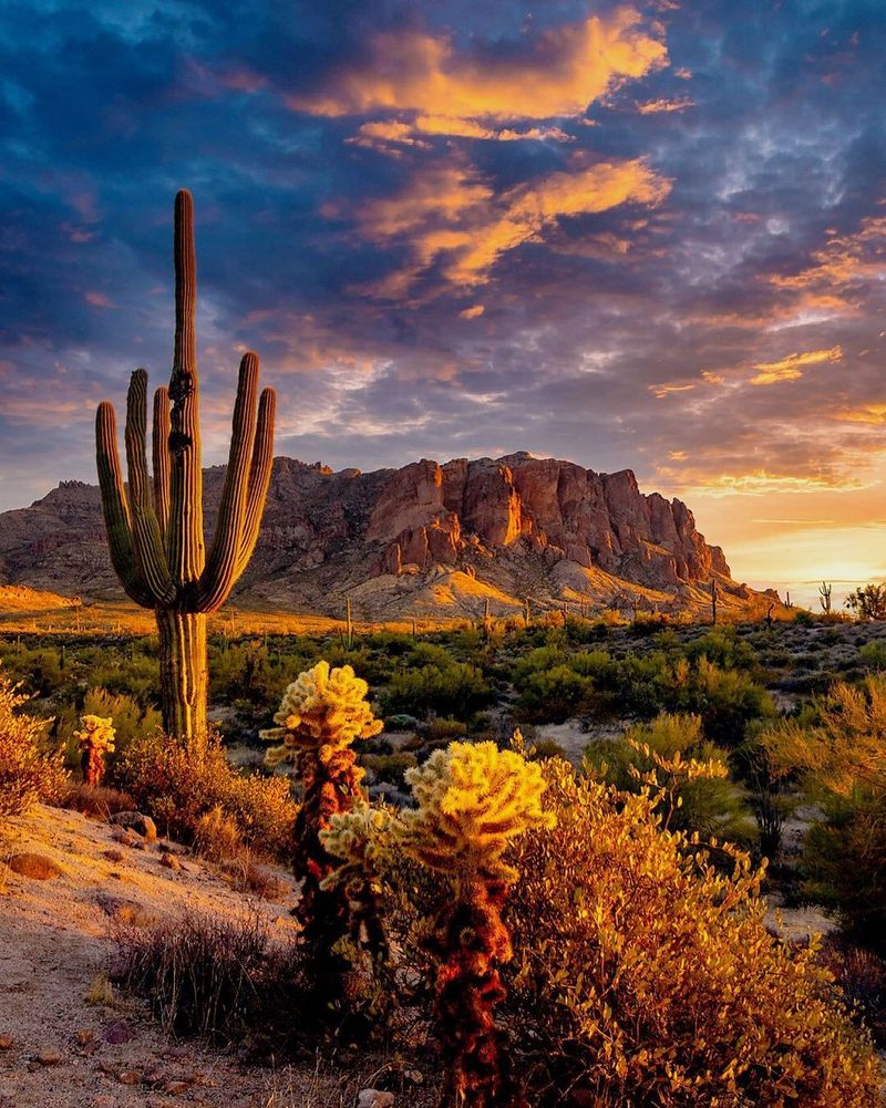 Arizona's Sonoran Desert