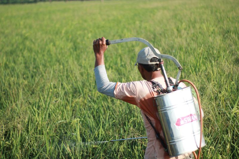 Avoid Using Pesticides