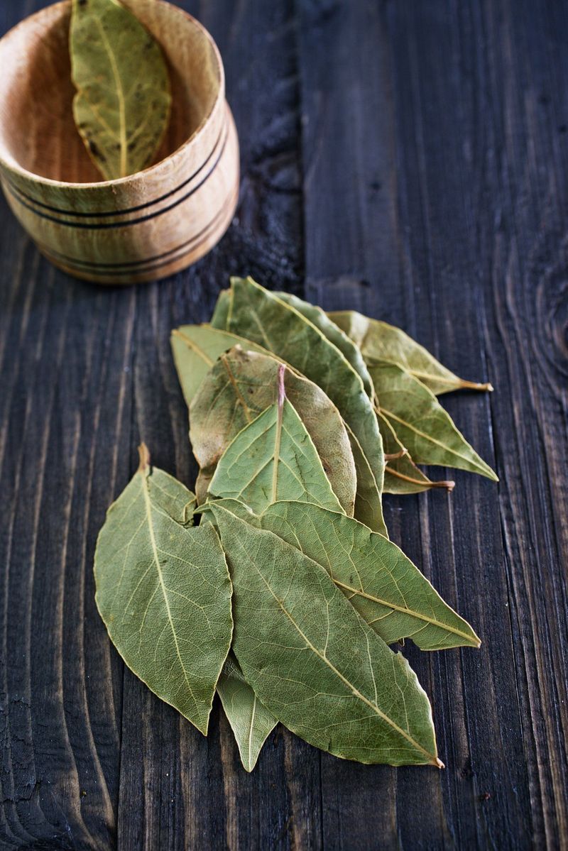 Bay Leaves