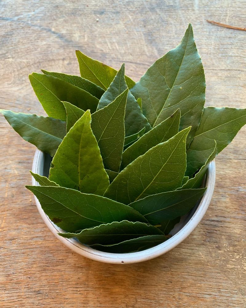 Bay Leaves