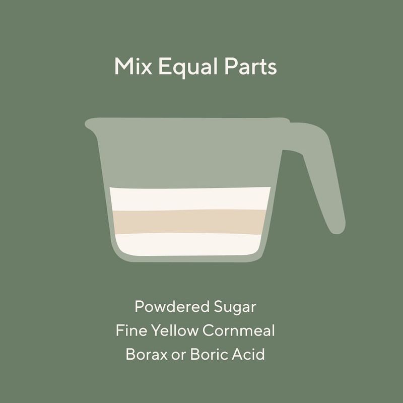 Boric Acid and Sugar