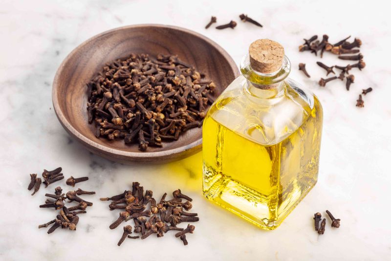 Cloves and Clove Oil