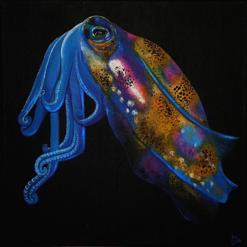 Cuttlefish