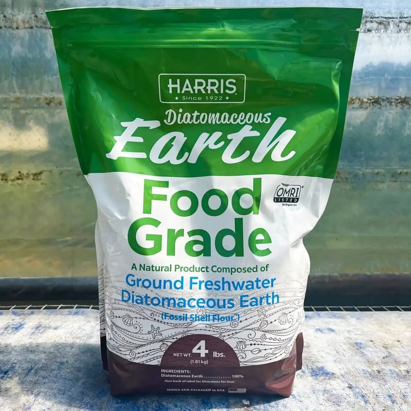 Diatomaceous Earth