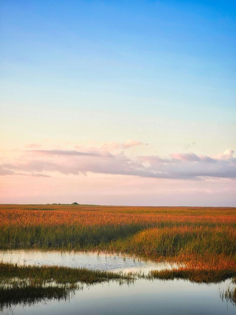 Florida's Everglades National Park