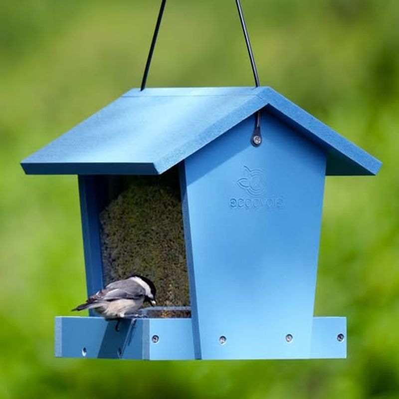 Maintain Clean Feeders