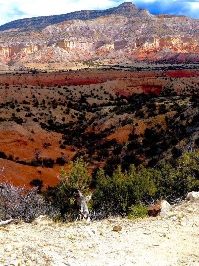 New Mexico's Chihuahuan Desert