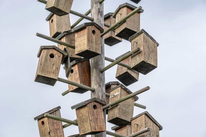 Provide Nesting Boxes