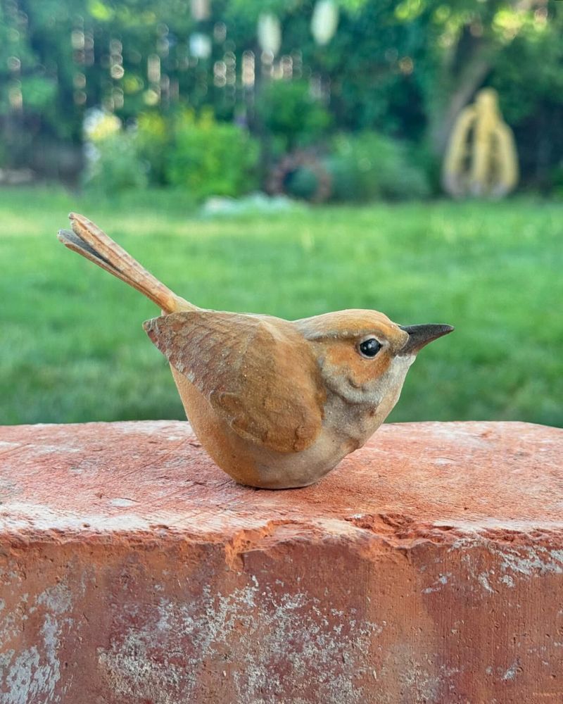 Rufous-Crowned Kinglet