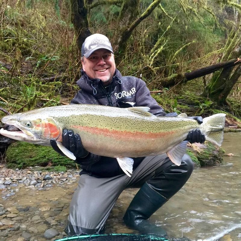 Steelhead Trout