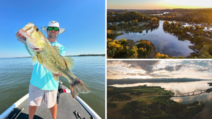 The 9 Top States in America for Unforgettable Bass Fishing