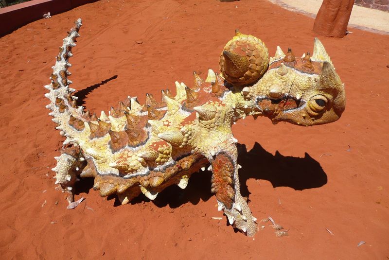 Thorny Devil