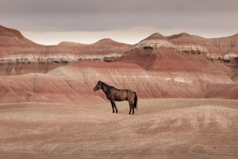 Utah