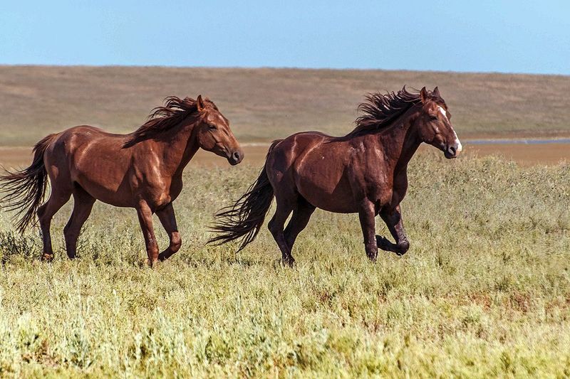 Wyoming