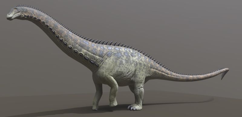 Apatosaurus