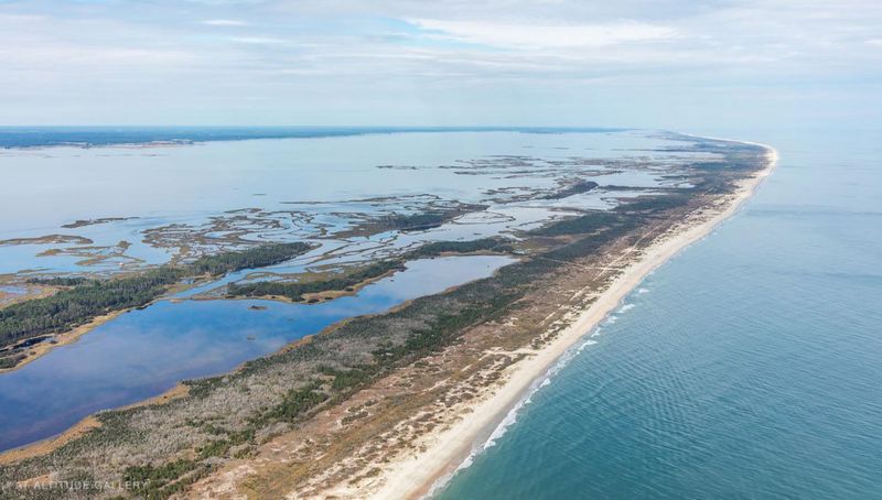 Assateague Island, Maryland and Virginia