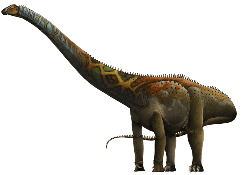 Barosaurus