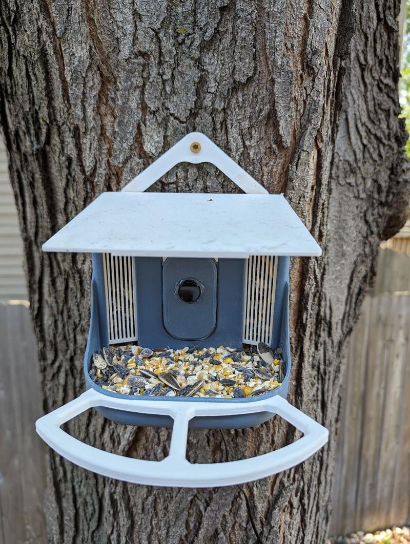 Bird Feeders