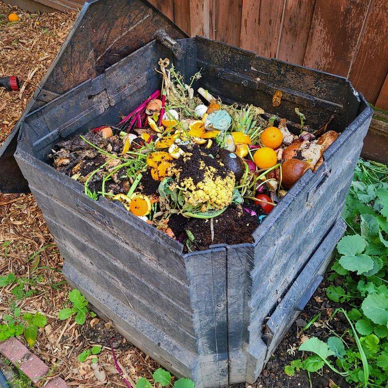 Compost Piles