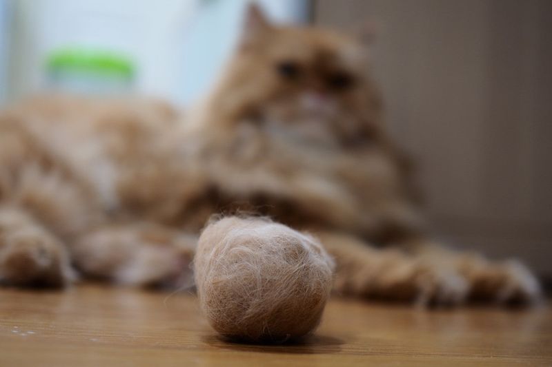 Dealing with Hairballs