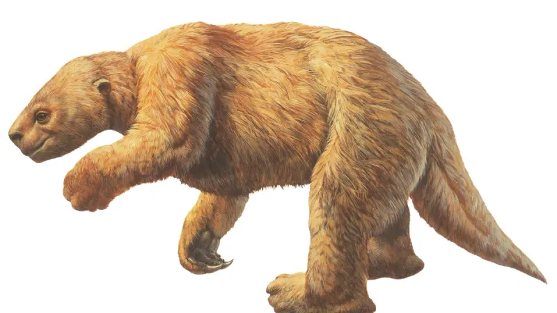 Harlan's Ground Sloth