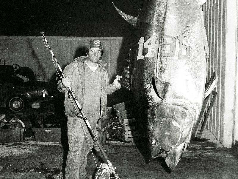 Ken Fraser's Bluefin Tuna Triumph