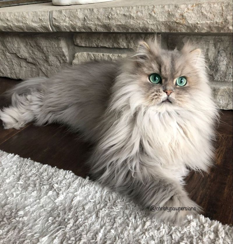 Persian