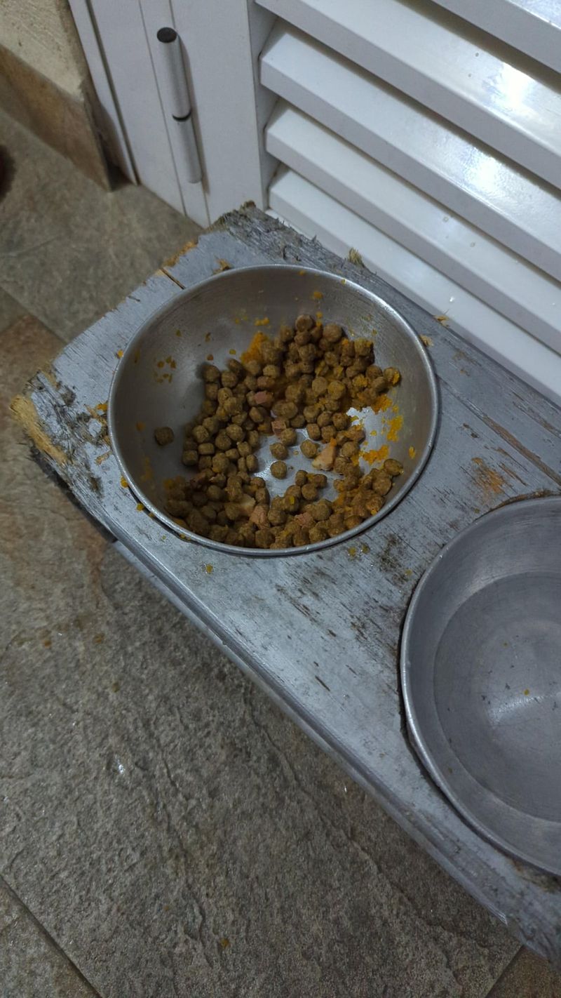 Pet Food Left Outside