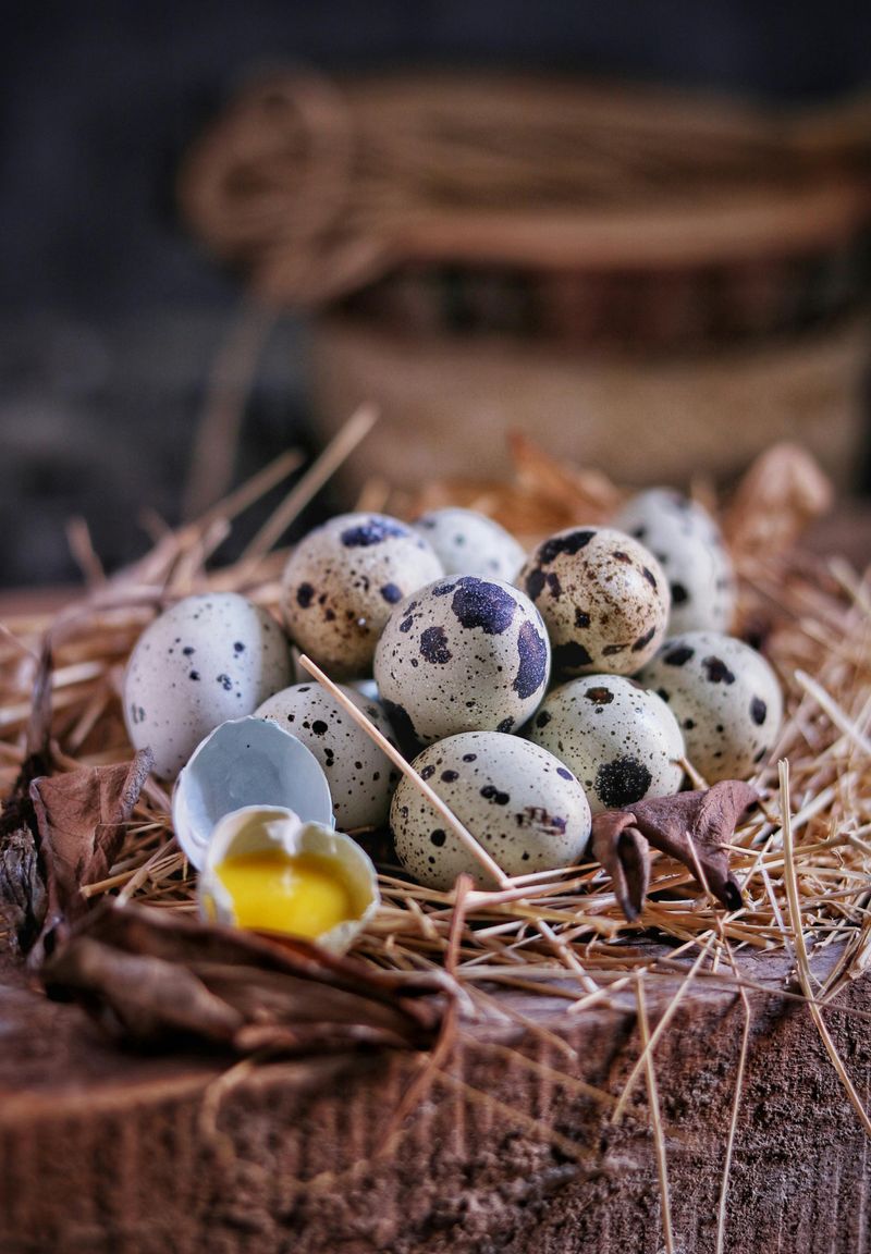 Quail Eggs Delicacy