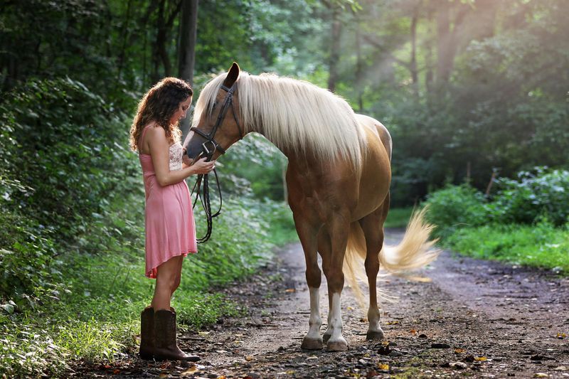 Tennessee Walking Horse