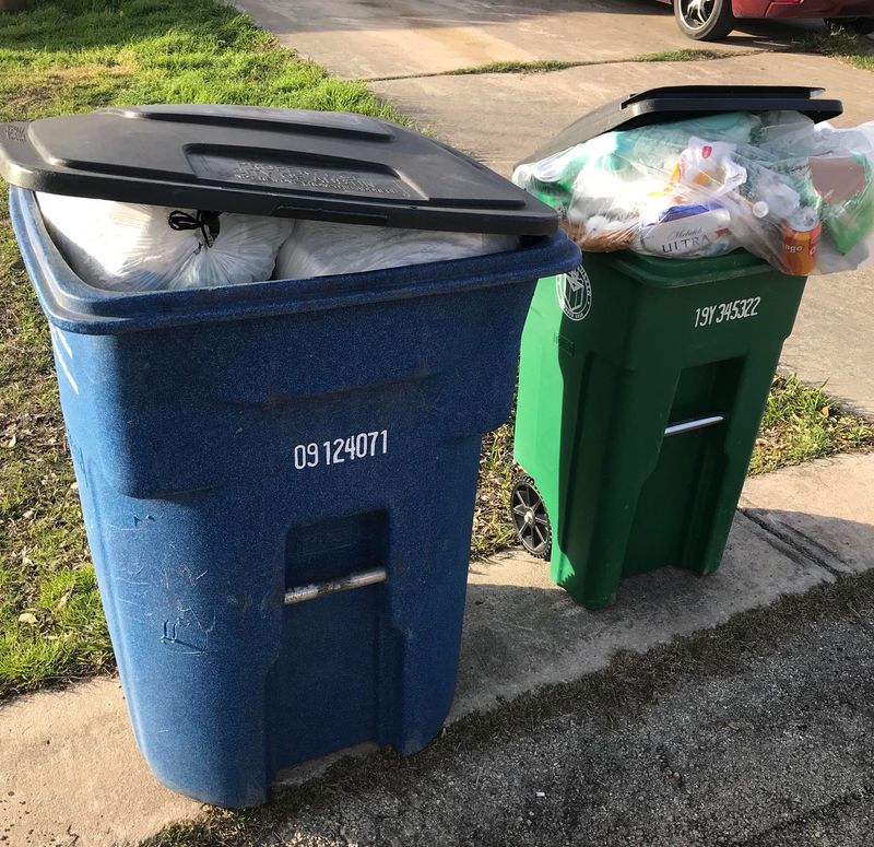 Trash Bins Without Lids