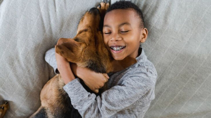 15 Reasons Why Adopting a Shelter Animal Is the Best Decision You’ll Make