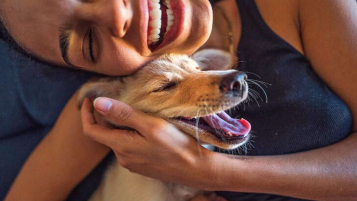 15 Small Gestures That Strengthen Your Bond With Your Dog