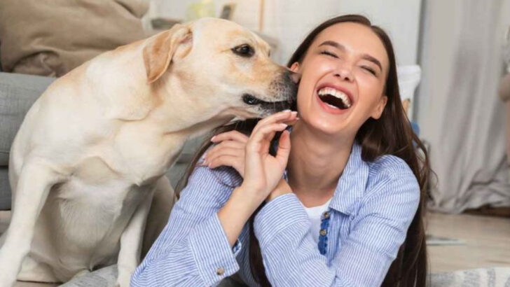 15 Things Dogs Smell And You Can’t