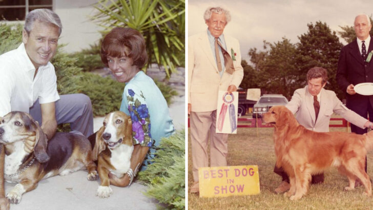 18 Popular Dog Breeds from the ’70s Everyone Had