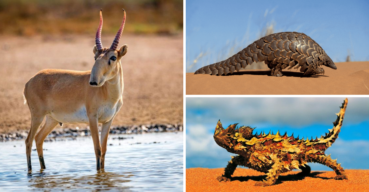 20 Weird And Wonderful Animals You Ve Probably Never Heard Of