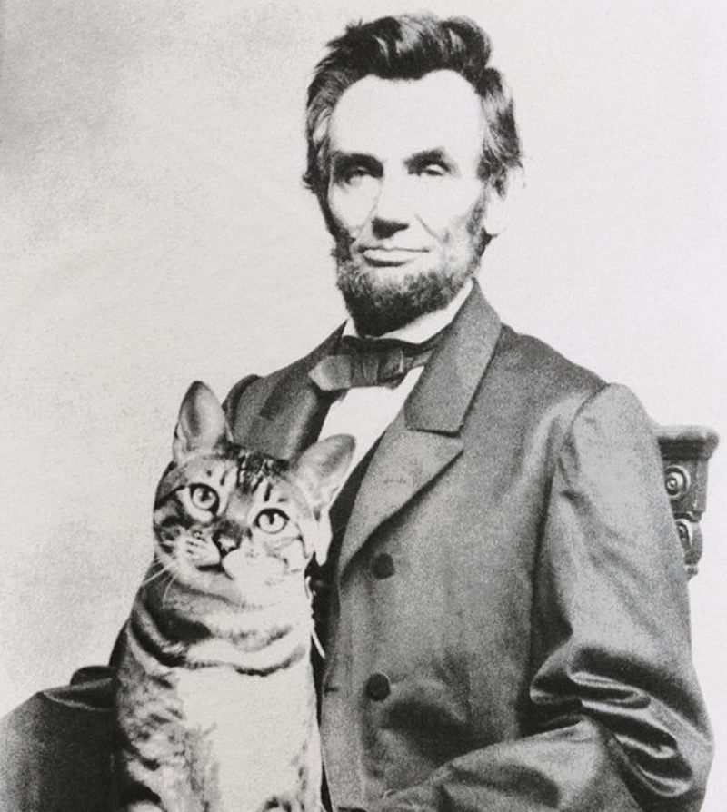 Abraham Lincoln’s Cat, Tabby