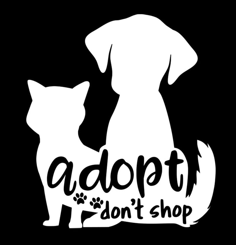 Adopt, Don’t Shop