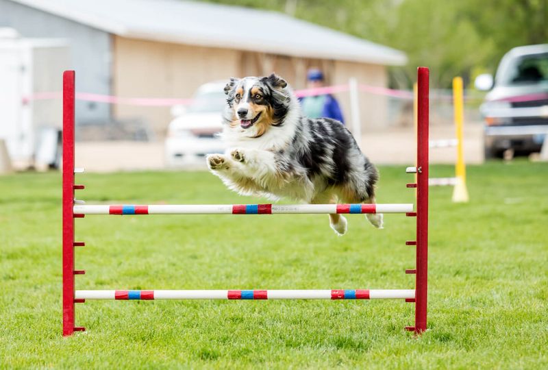 Agility Training