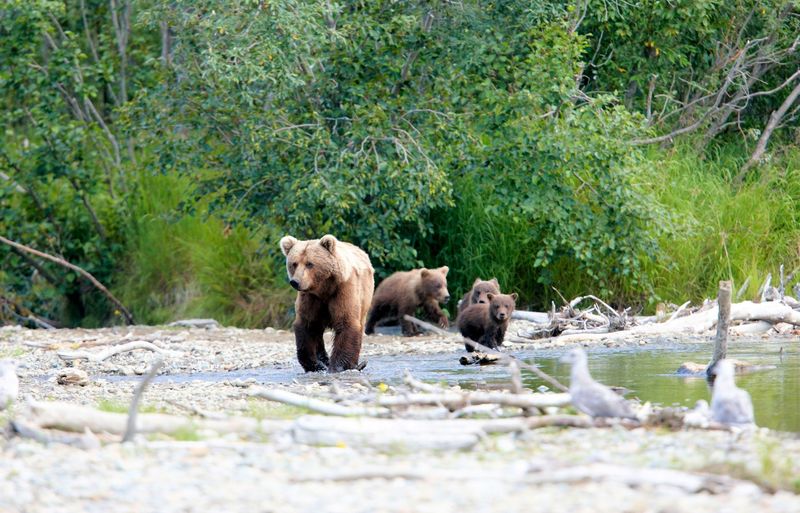 Alaska Peninsula National Wildlife Refuge, Alaska