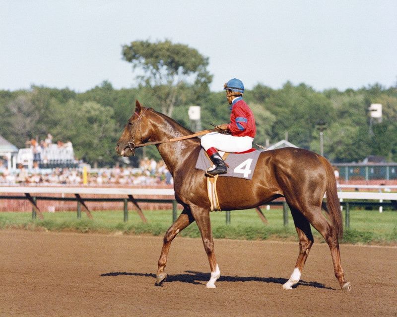 Alydar