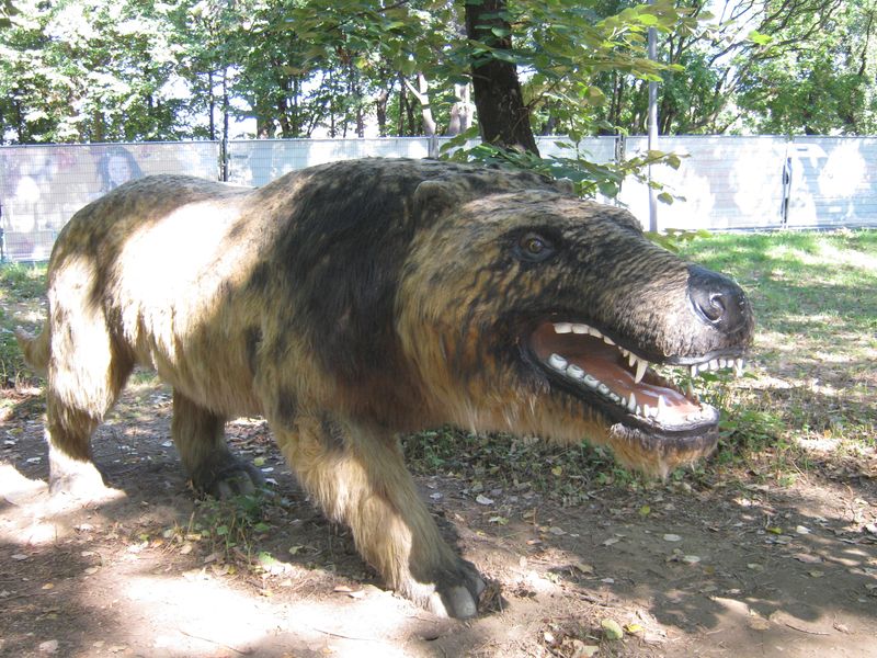 Andrewsarchus