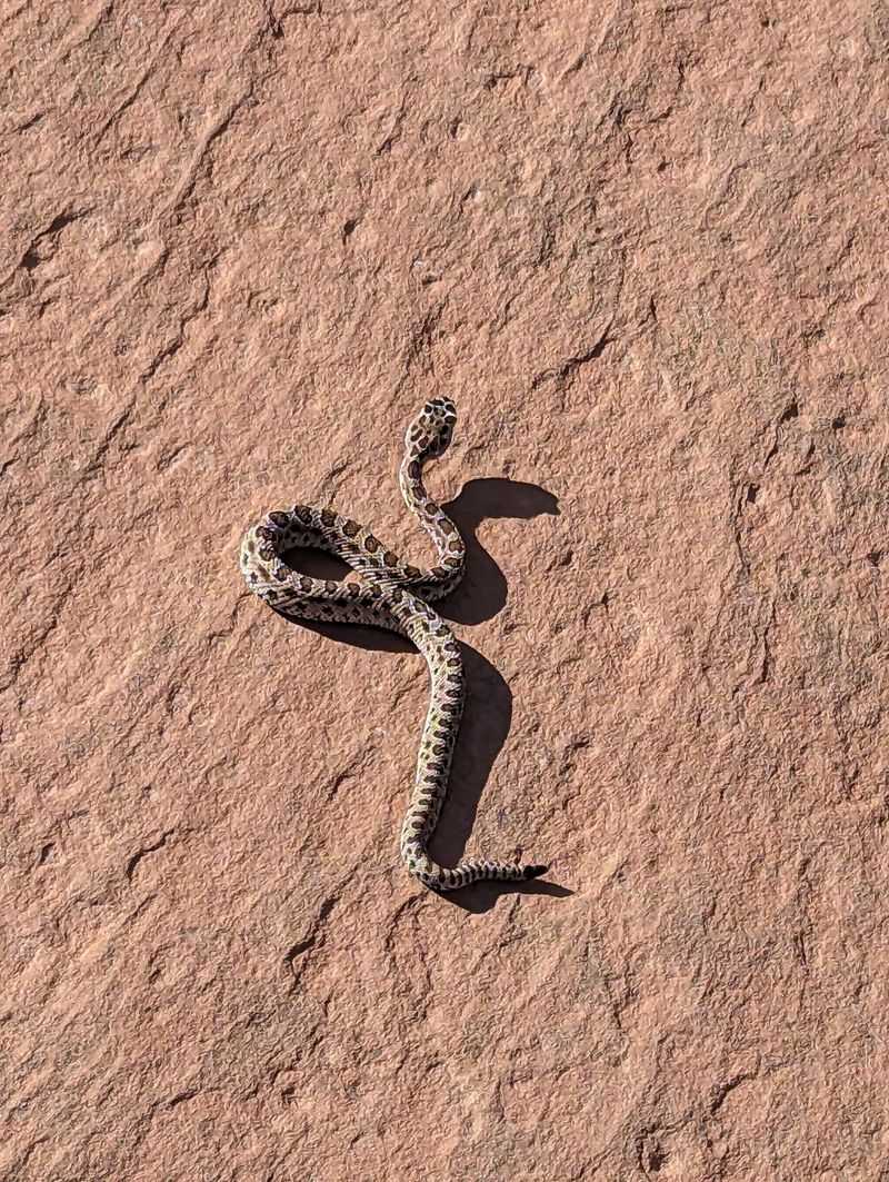 Arches National Park