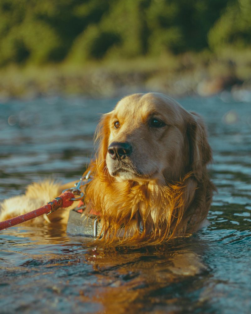 Bathing Too Often