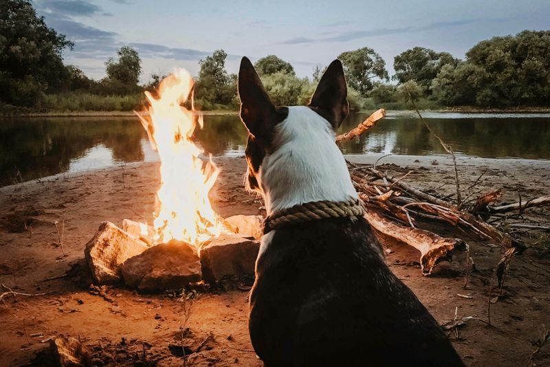 Beside a Warm Fire Pit