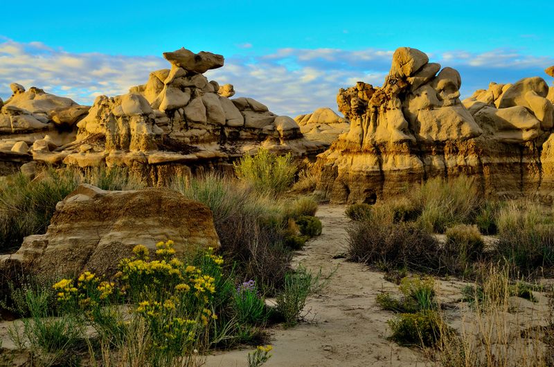 Bisti/De-Na-Zin Wilderness, New Mexico