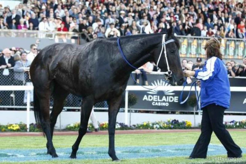 Black Caviar