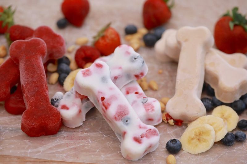 Blueberry and Yogurt Popsicles