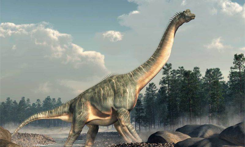 Brachiosaurus