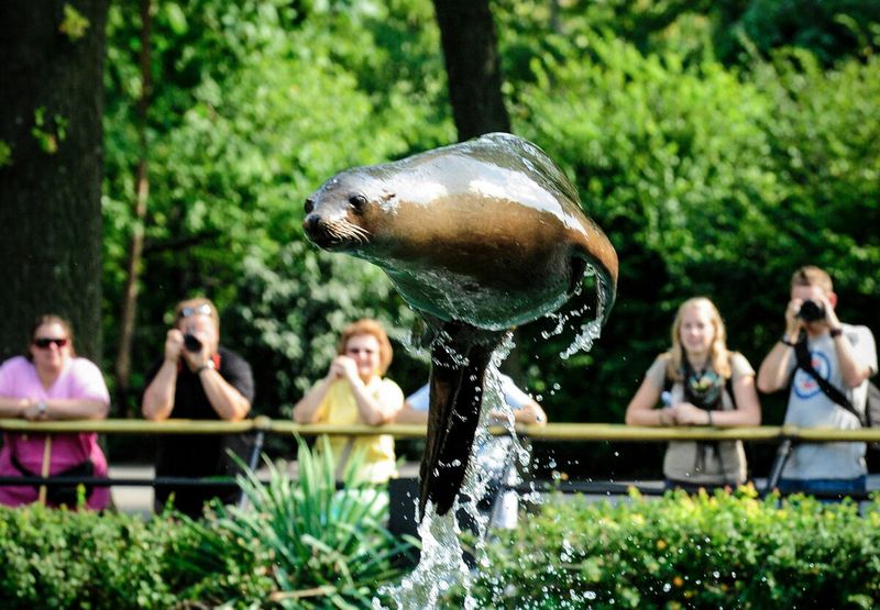 Bronx Zoo